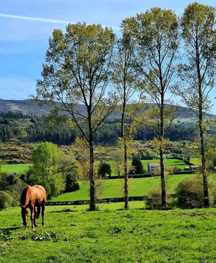 Greenvale Cabins Forkhill ภายนอก รูปภาพ